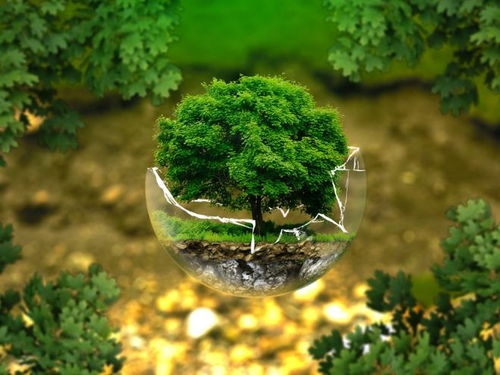 2025成都環保咨詢實力榜Top5與全面方案推薦